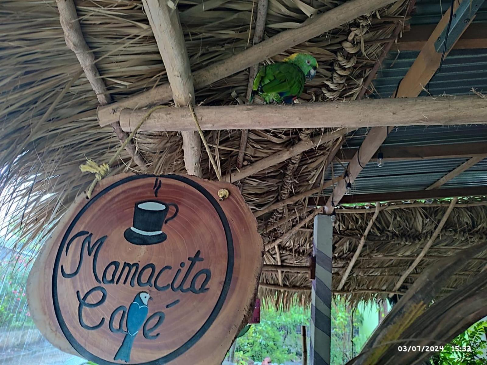 Mamacita Cafe House Hotel โมโยกัลปา ภายนอก รูปภาพ