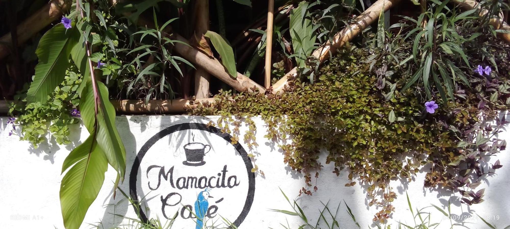 Mamacita Cafe House Hotel โมโยกัลปา ภายนอก รูปภาพ